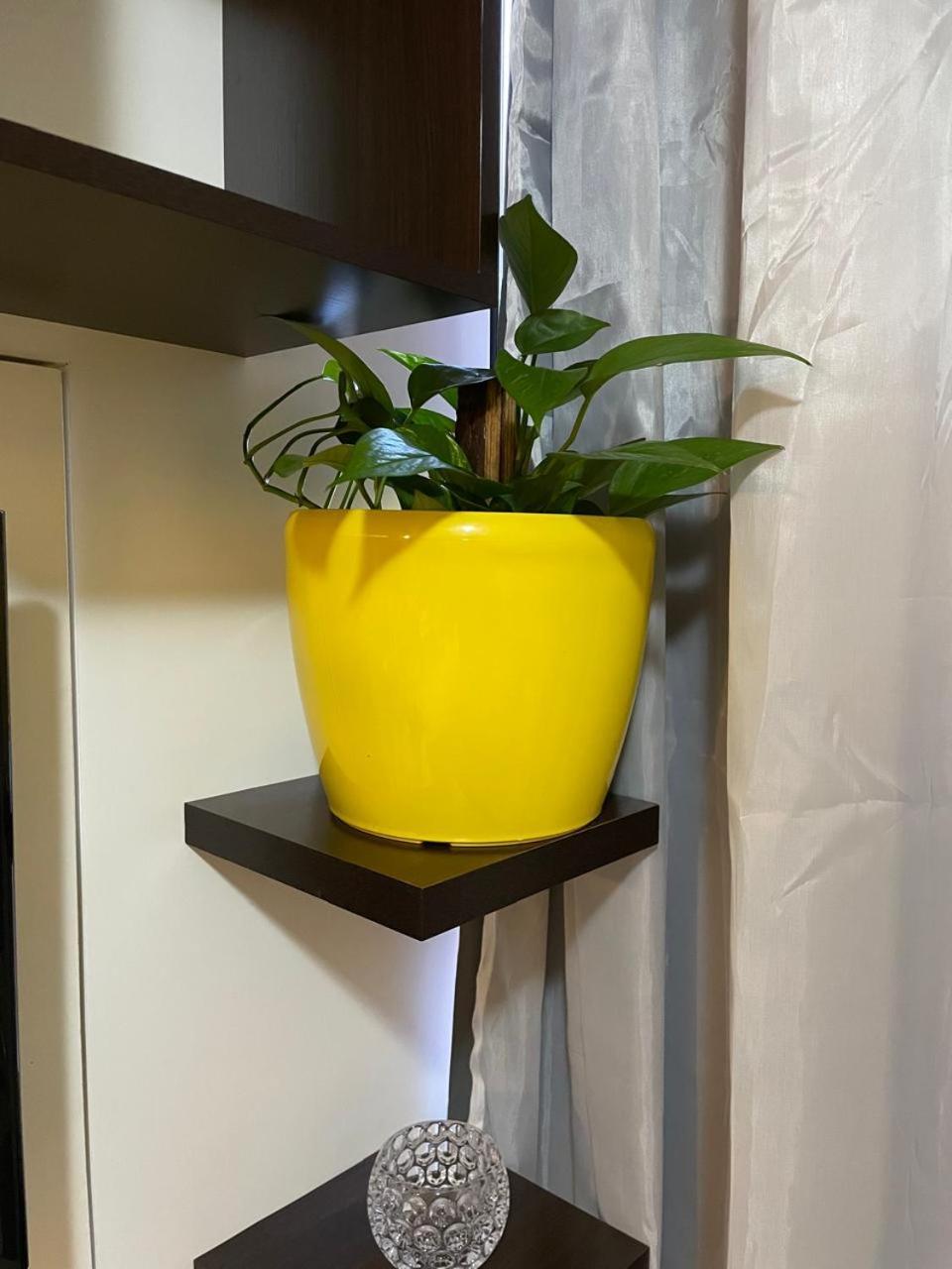 Apartamento Ap Confortavel E Funcional Proximo Ao Aeroporto E Embaixadas *